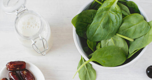 representation of natural plant protein versus animal protein sources for the concept of how they affect body weight