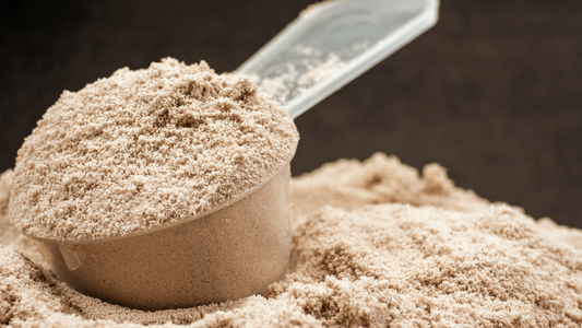 Whole Foods 365 Protein Powder vs Nutranelle Plant-Based Protein Powder