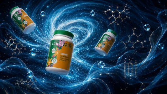 Best Protein for GLP-1 Users: 5 Picks That Work When You Can Barely Eat