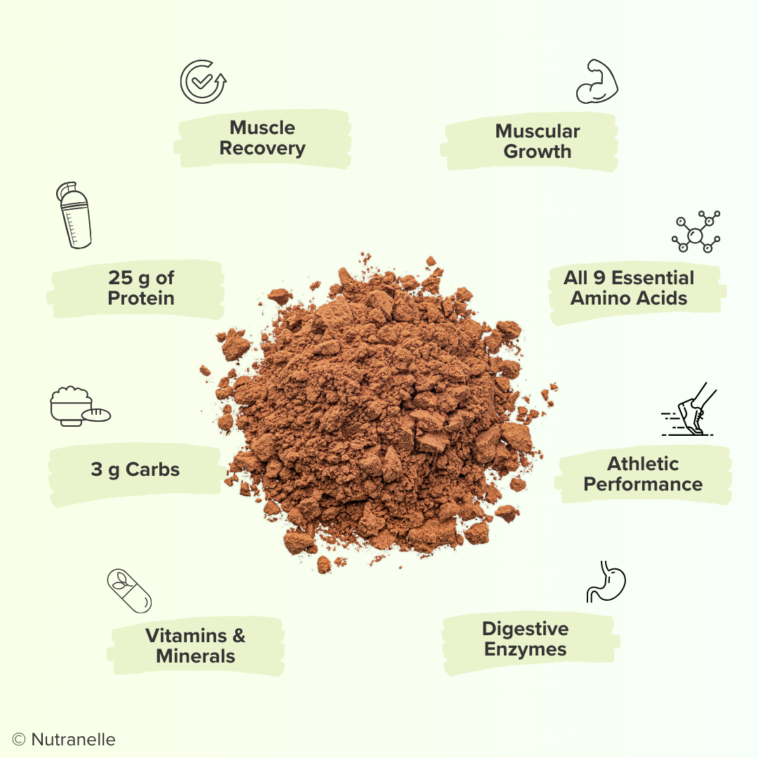 Plant-Based Protein Powder